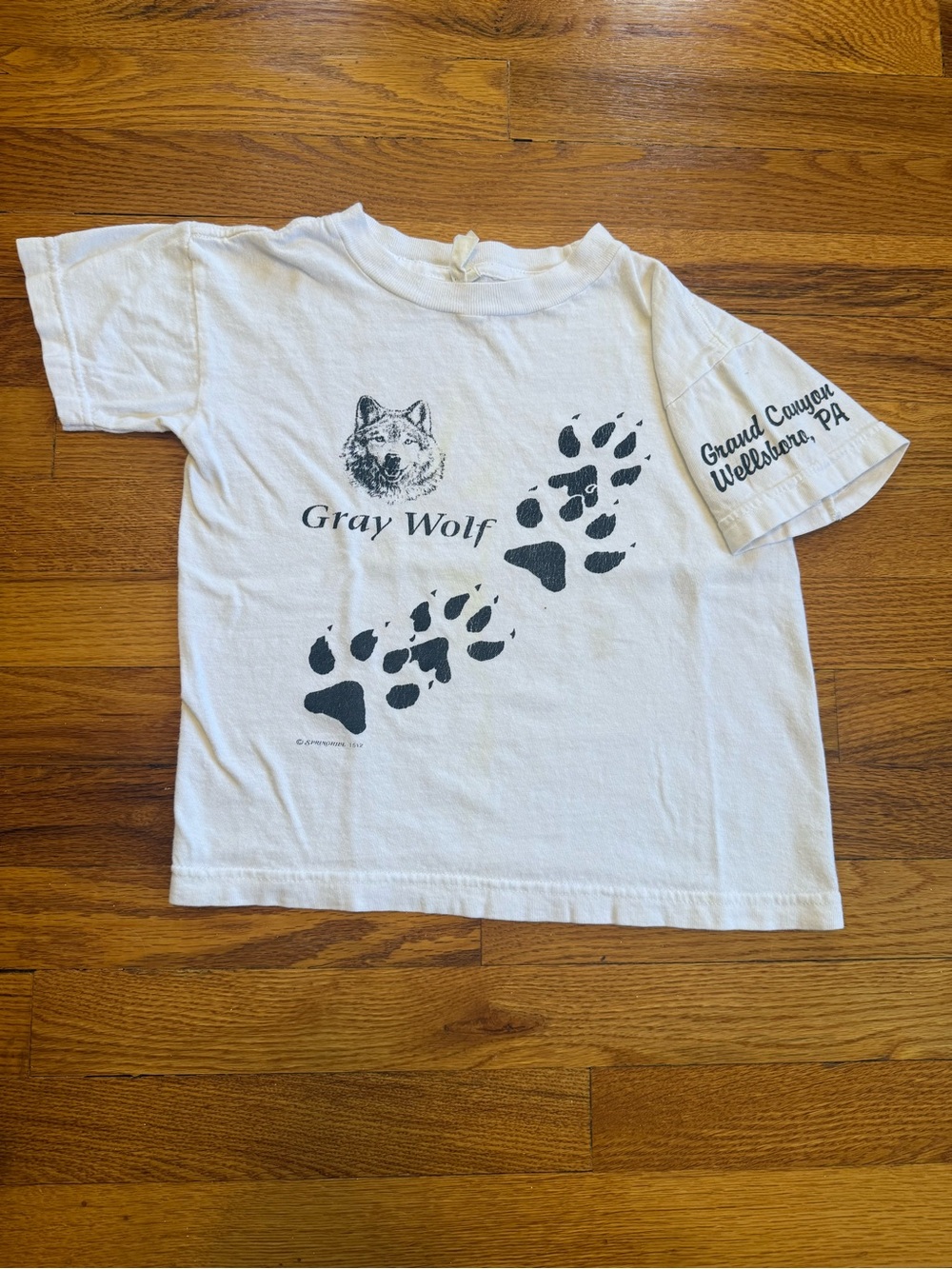 Vintage 90s Grand Canyon Wellsboro PA Wolf T-shirt, Youth Large Pennsylvania